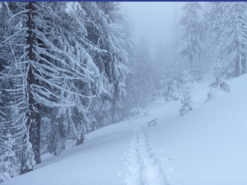 Правила поведения в снегопад и метель